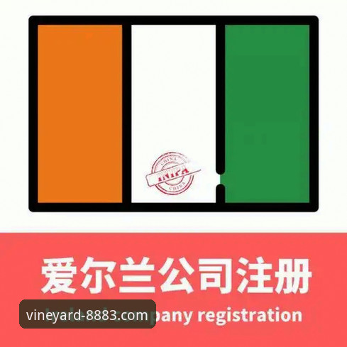 老版新葡萄注册怎么下载 老版新葡萄注册怎么下载?新旧版本对比与全面指南